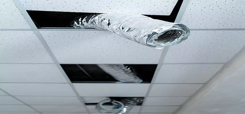 Affordable HVAC Sanitizing After Pest Removal in Lynn