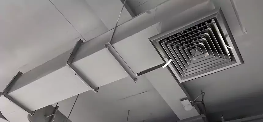 Restorative Allergy Relief Vent Cleaning – Coil, Blower & Housing Detail in Lynn