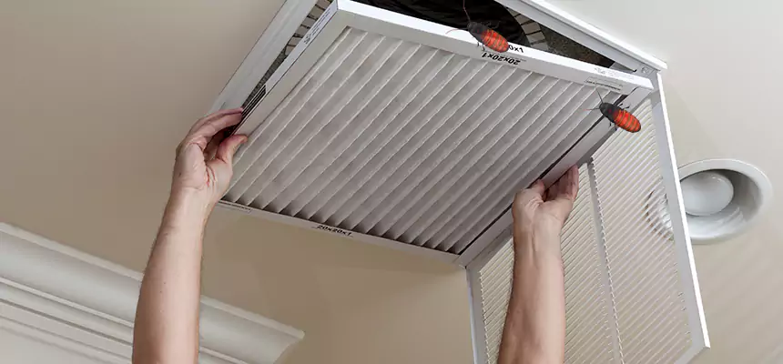 Our Insect Removal from Air Ducts Services in Lynn, MA