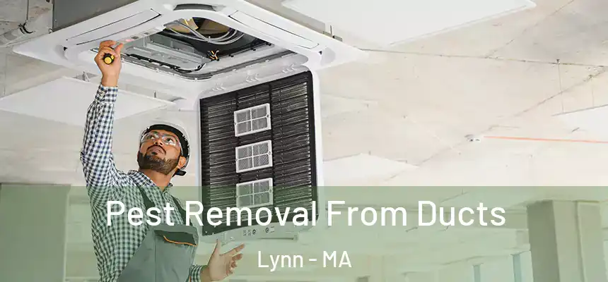 Pest Removal From Ducts Lynn - MA
