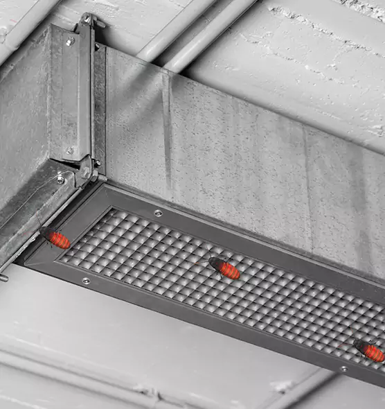 About Air Duct Cockroach Removal in Lynn, MA