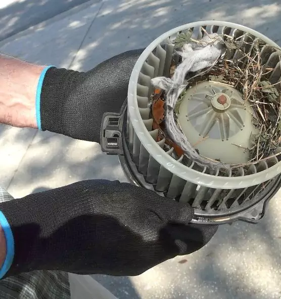 About Air Duct Mice Removal in Lynn, MA