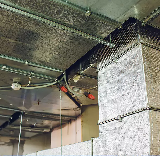 Why Homeowners & Businesses Trust Us in Lynn, MA?