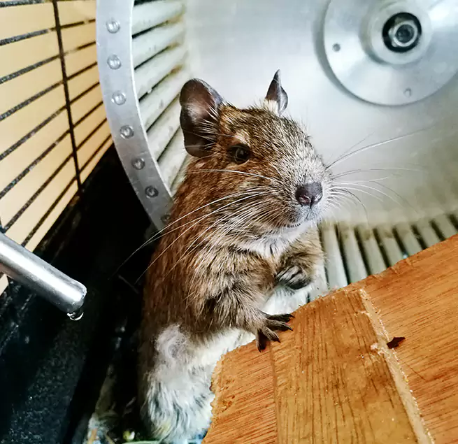 Why Homeowners & Businesses Trust Us Lynn, MA