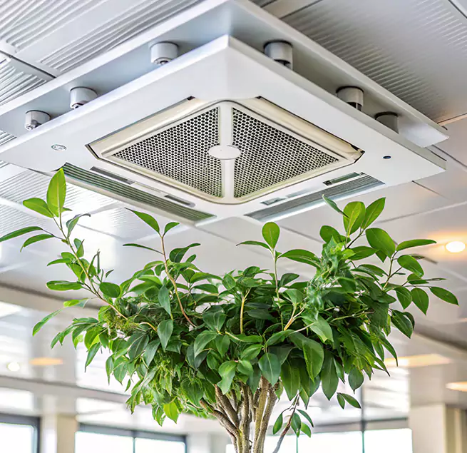 Why Homeowners & Businesses Trust Us in Lynn, MA