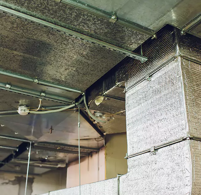 Why Homeowners & Businesses Trust Us in Lynn, MA?